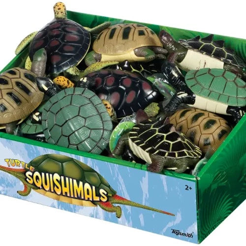 Turtle Squishamals