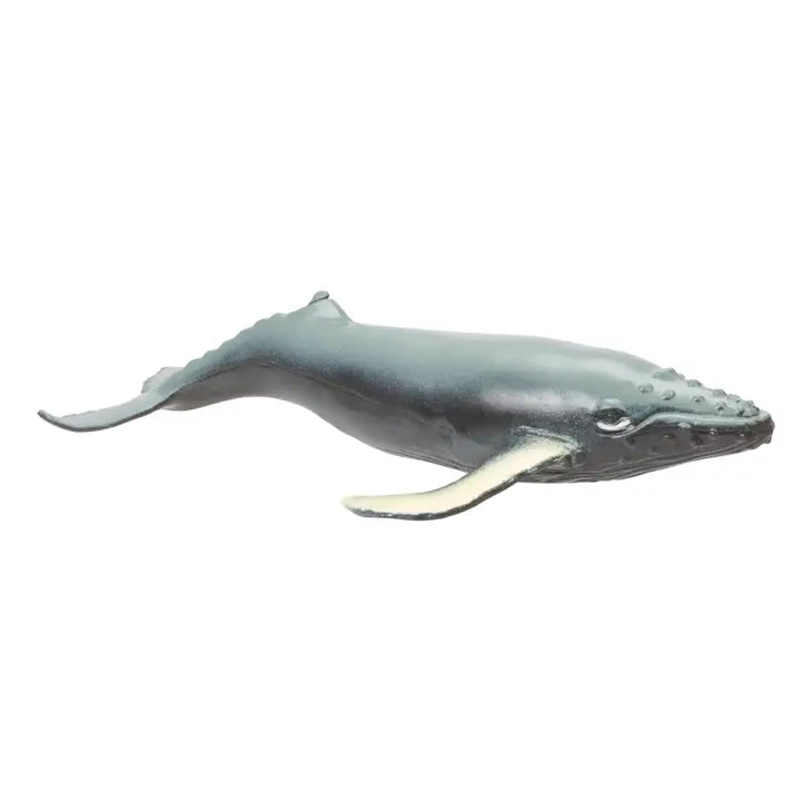 Ocean Squishimals, Sharks, Dolphins, Squishy Toy