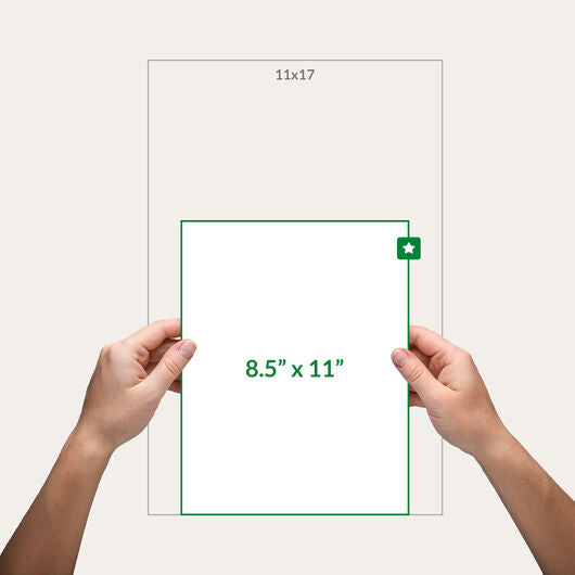 Dine-In Menus