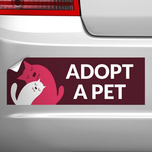 Bumper Stickers